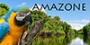 Amazone Tour Award