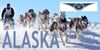 Amsterdam to Alaska Tour Award