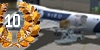 Cargo Pilot Award