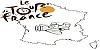 Tour de France Award